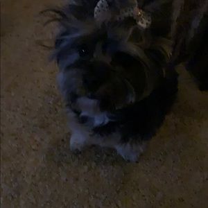 Meet your Posher, Gary